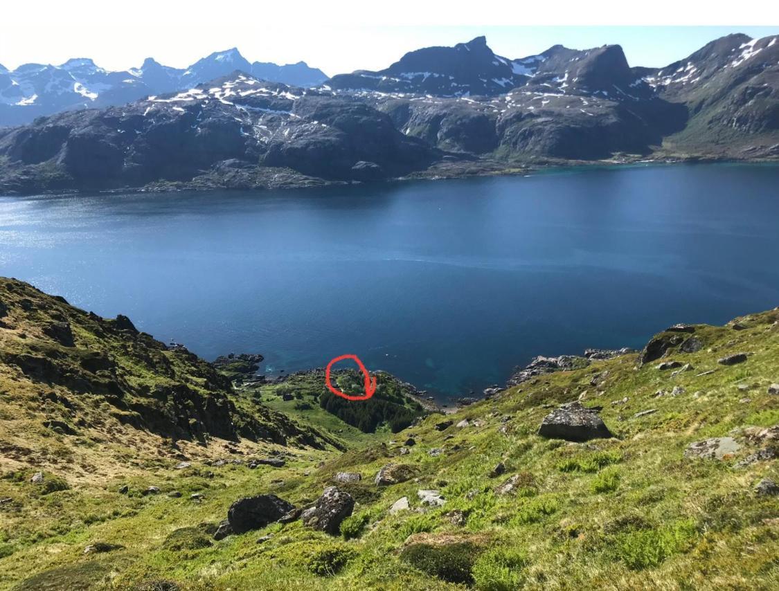 Vettinghytta, Close To The Sea With Amazing View. Gravdal  Eksteriør bilde