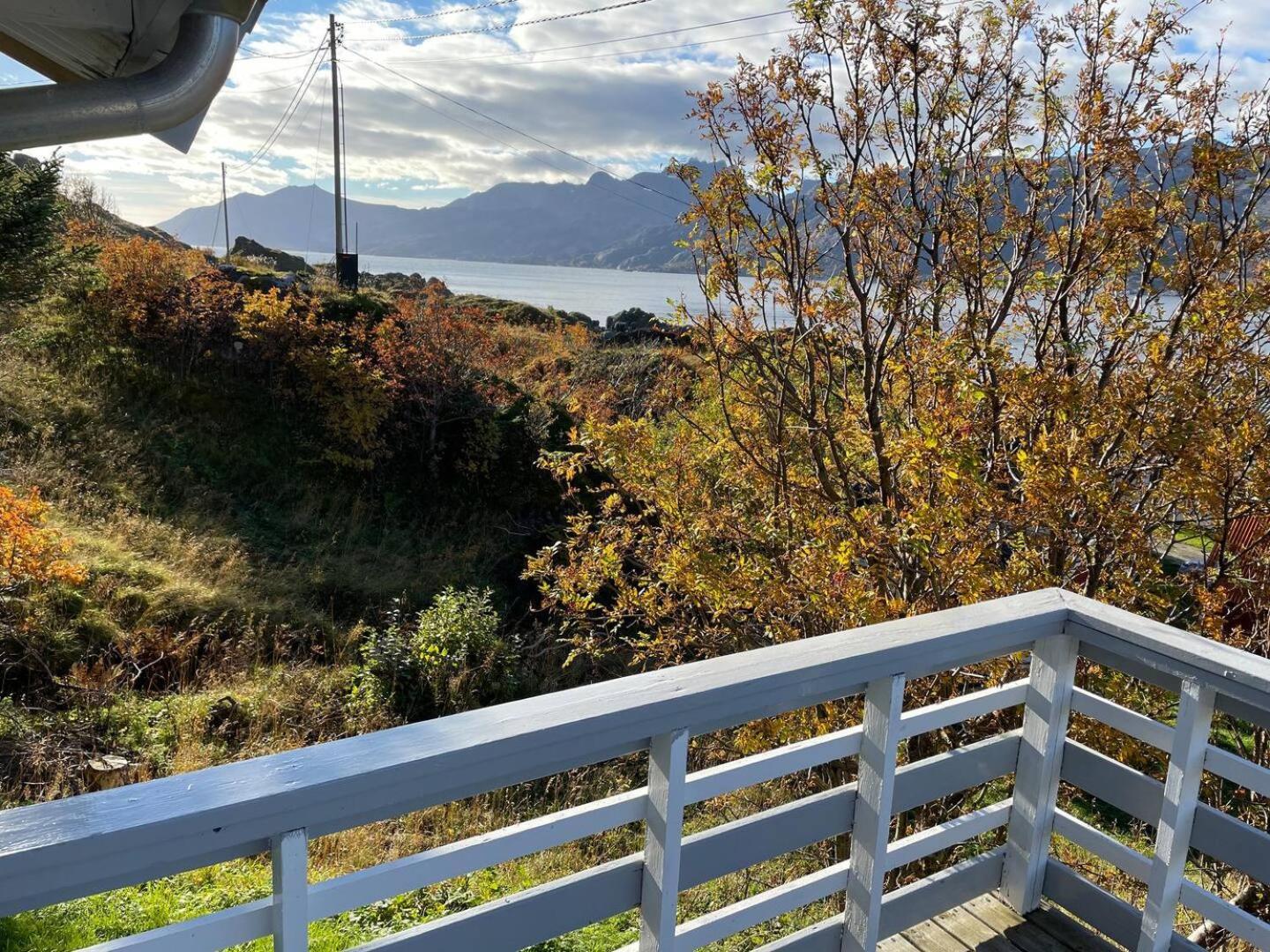 Vettinghytta, Close To The Sea With Amazing View. Gravdal  Eksteriør bilde