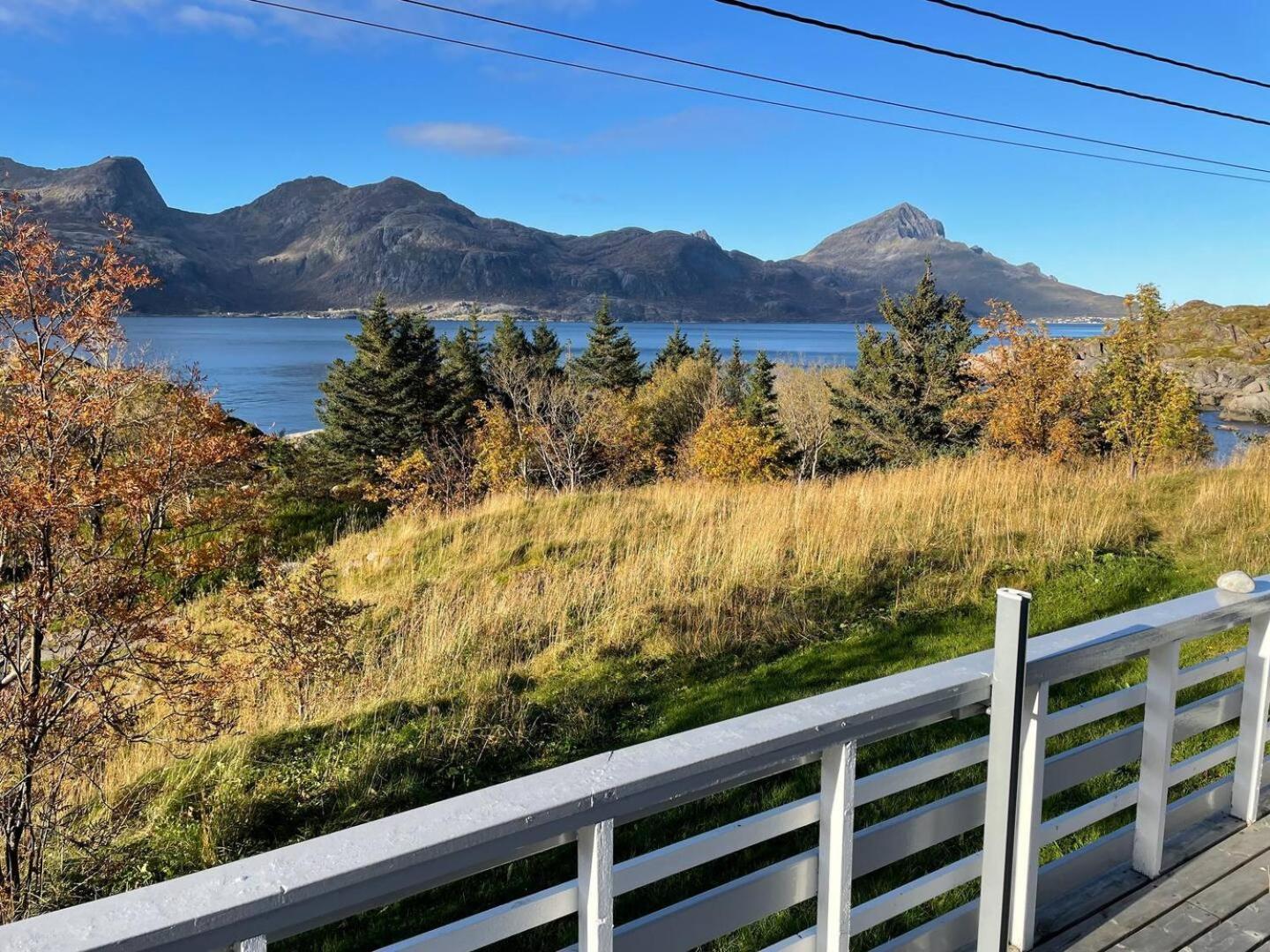 Vettinghytta, Close To The Sea With Amazing View. Gravdal  Eksteriør bilde