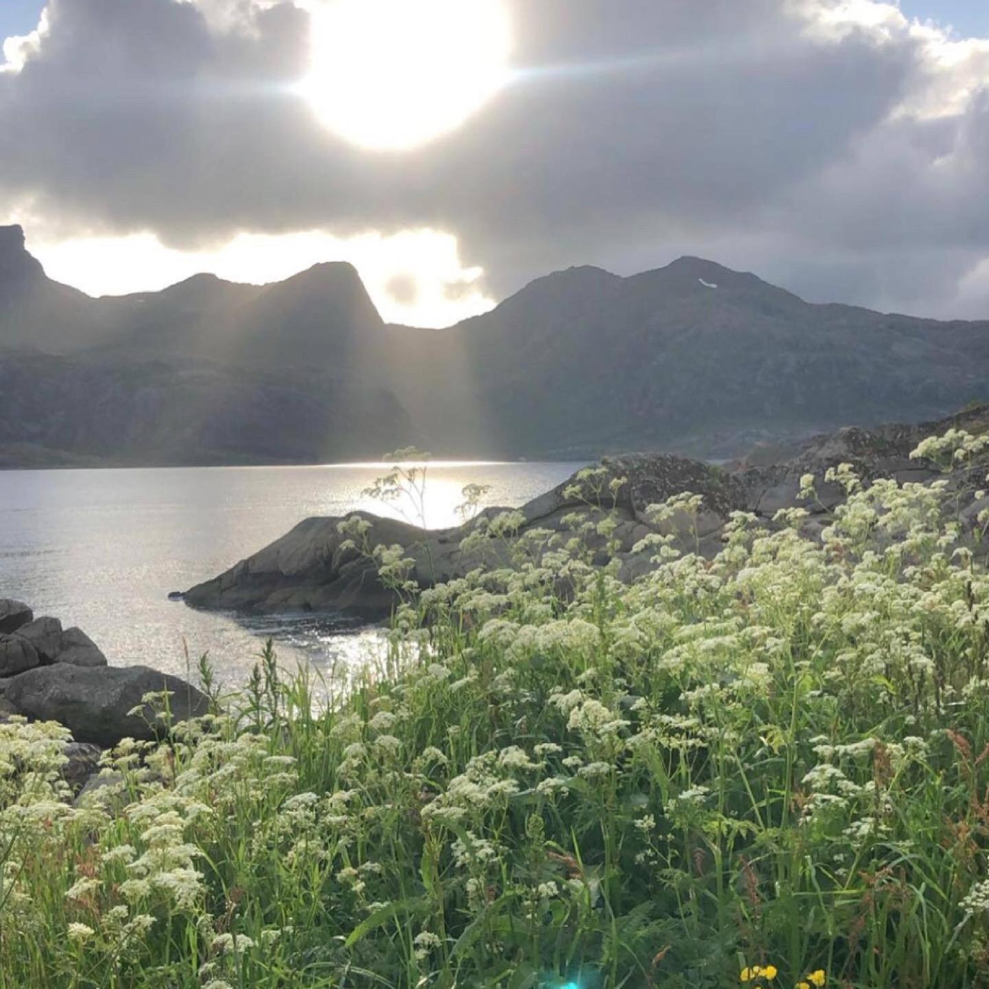 Vettinghytta, Close To The Sea With Amazing View. Gravdal  Eksteriør bilde